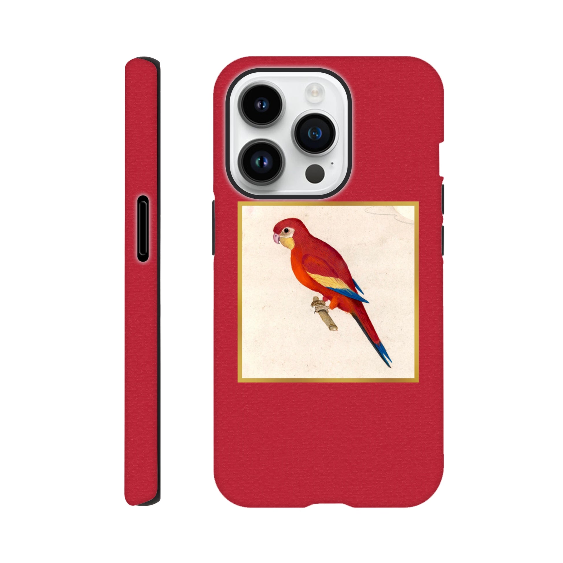 02d88e55-ae33-48ca-933a-4f7bef921343