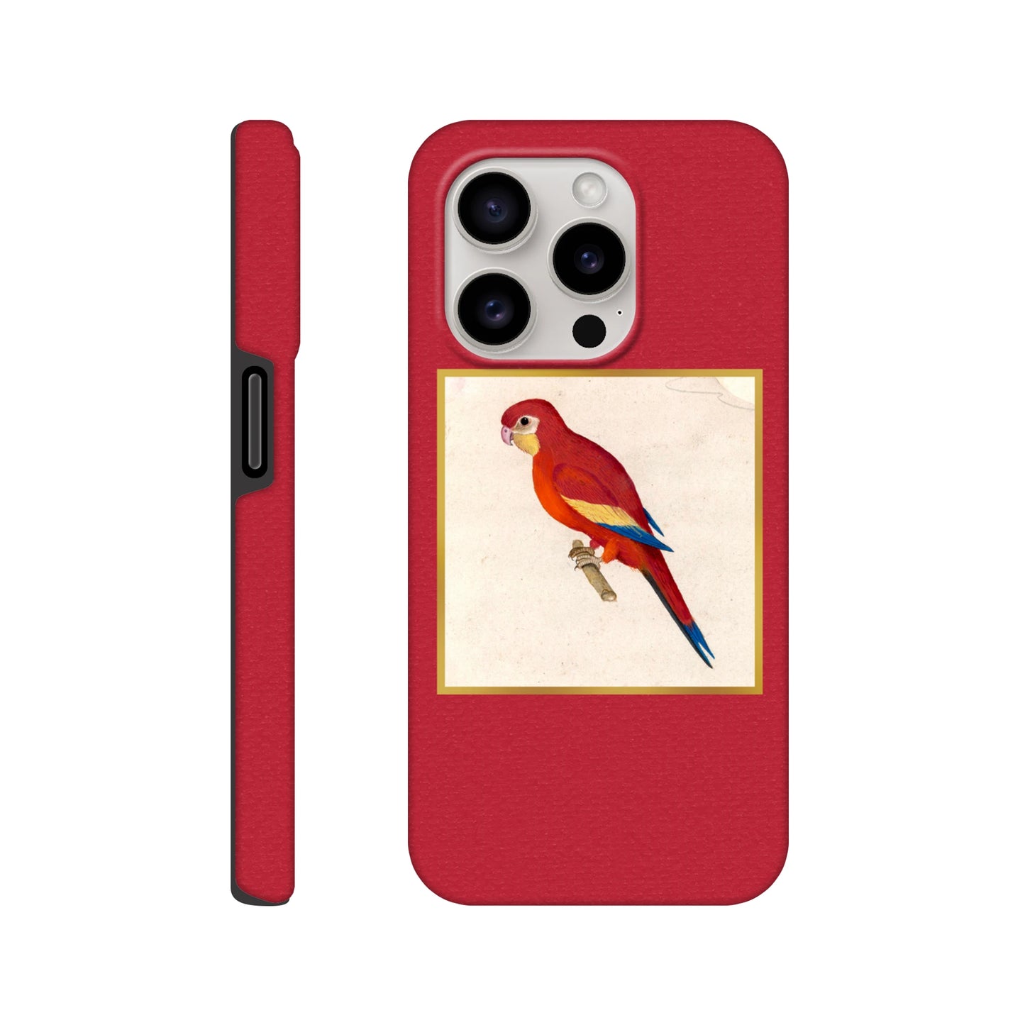 50f267f9-ac34-443f-a4f6-a8cc8c02ede0