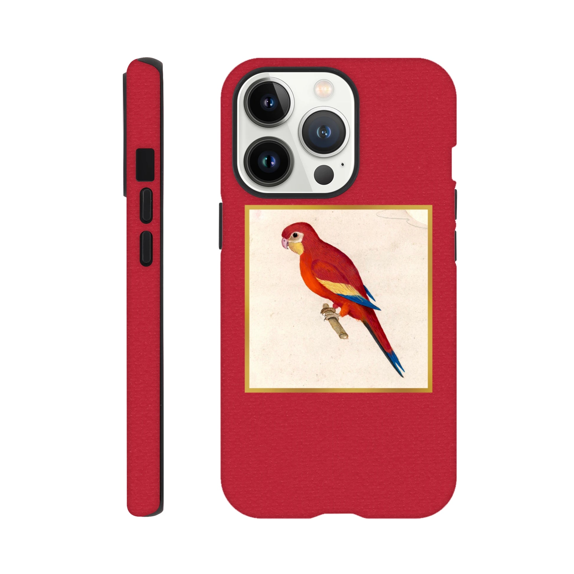 9ef785fe-910f-411e-9224-88daa6050f0d