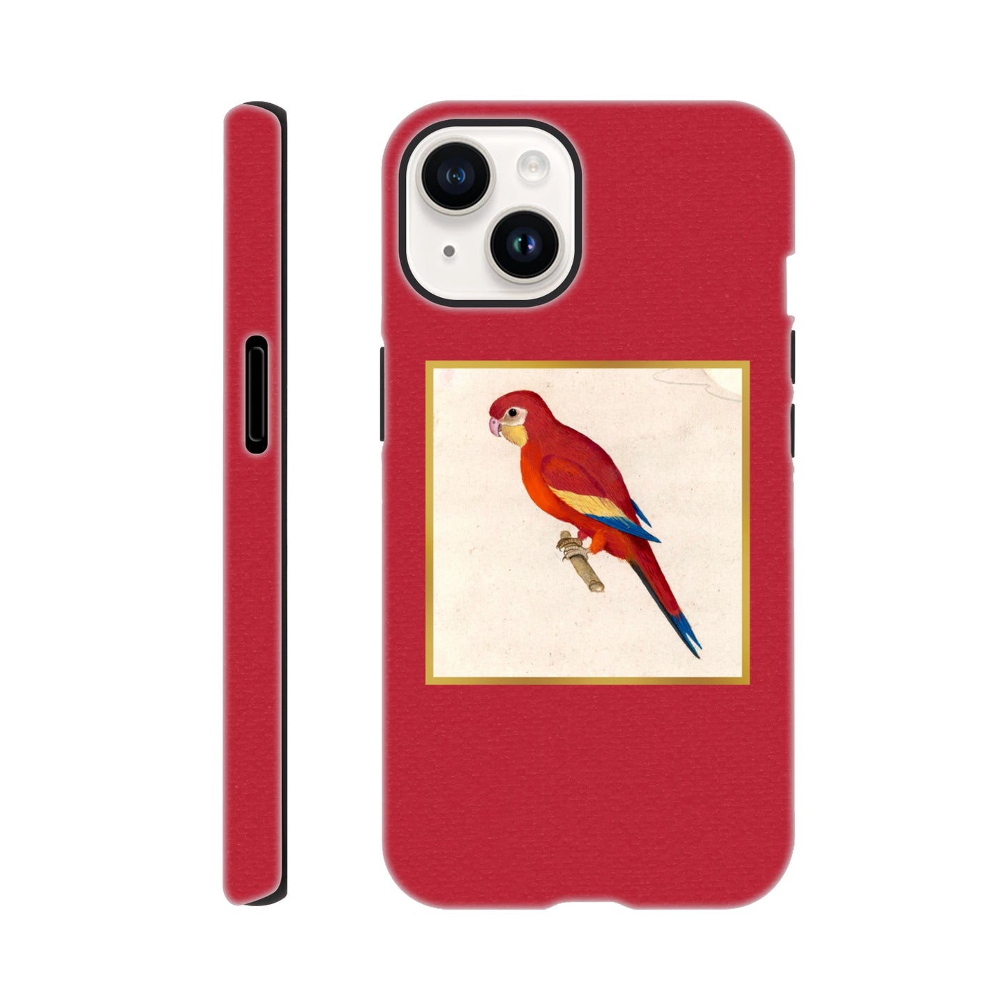 e6a58d50-053e-4bf6-aaa2-cf4f163f101f